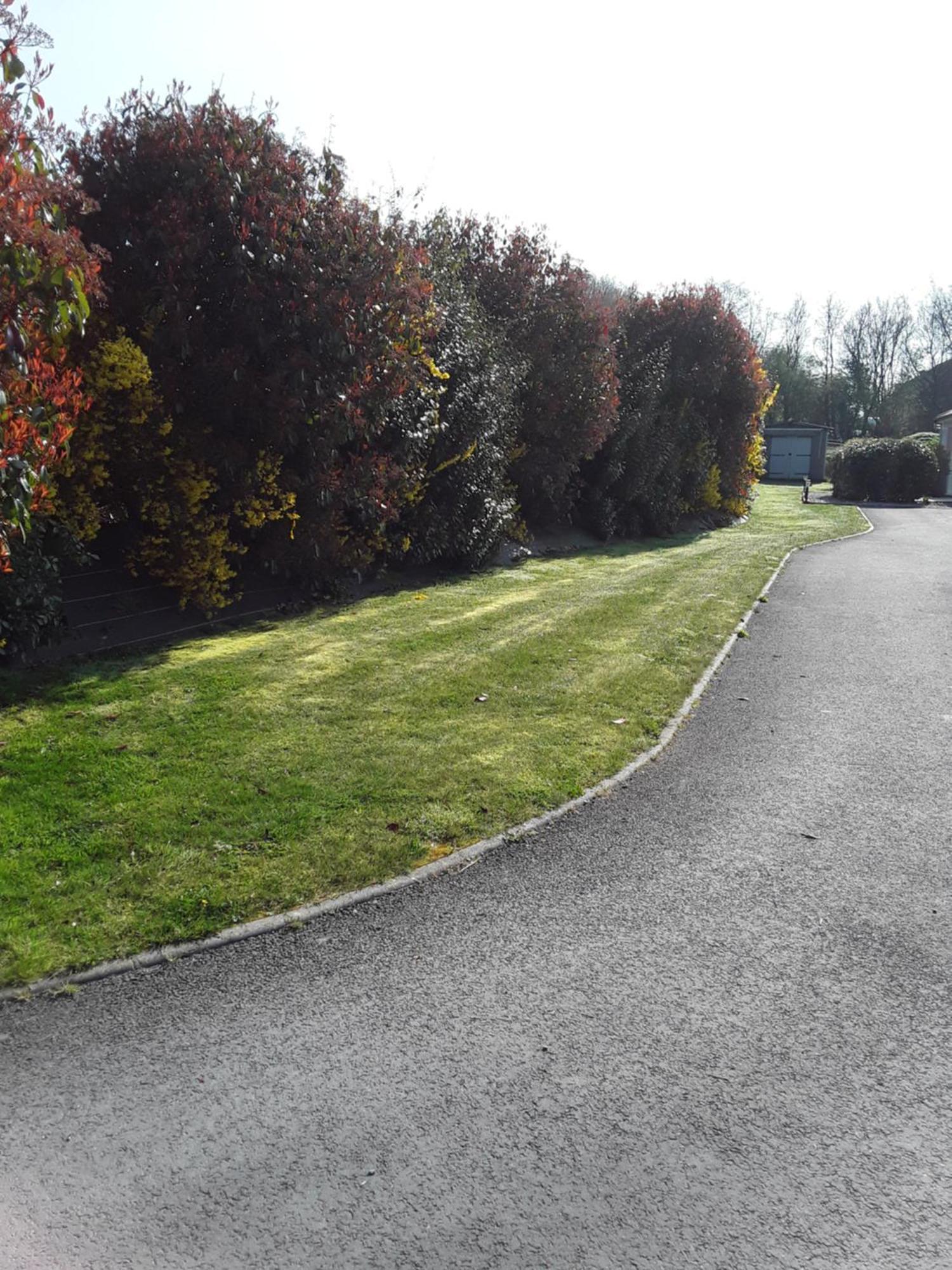 Chambres D'Hotes De L'Orval Thiergeville ภายนอก รูปภาพ